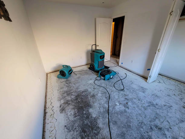 Best 24/7 water damage repair  in Vinton, VA