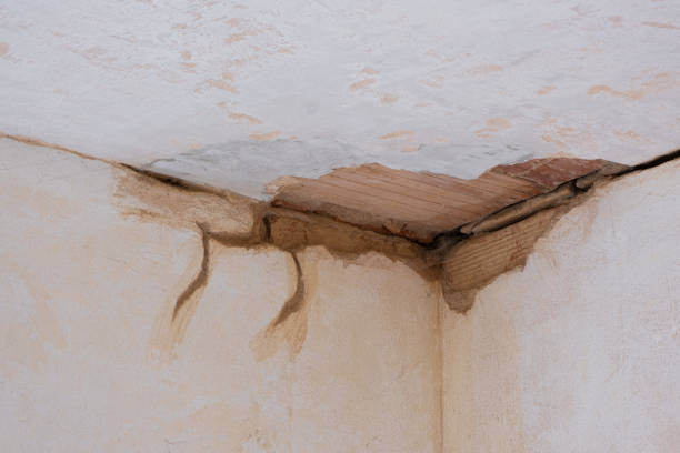 Best 24/7 water damage repair  in Vinton, VA