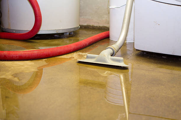 Best Fire Damage Restoration  in Vinton, VA