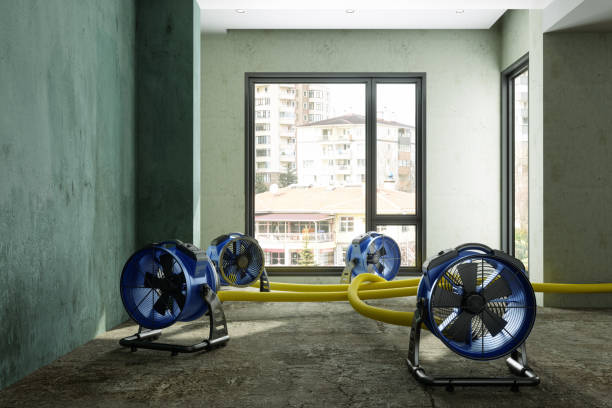 Water damage restoration experts in Vinton, VA